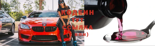 крисы Козельск