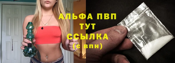 крисы Козельск
