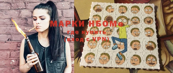 крисы Козельск