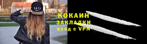 крисы Козельск
