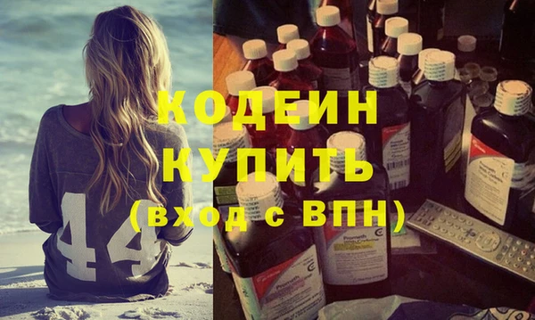 крисы Козельск