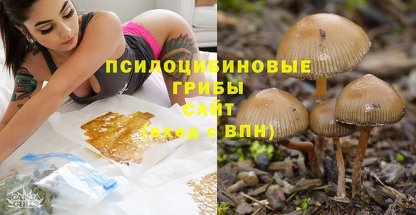 крисы Козельск