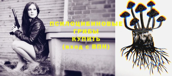 крисы Козельск